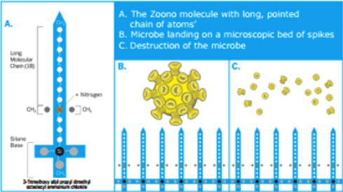 Zoono works in a totally different way to conventional antimicrobial solutions.